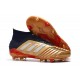 adidas Scarpa da Calcio Predator 19.1 FG - Oro Rosso Argento