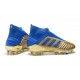 Scarpe adidas Predator 19+ FG Uomo Oro Blu