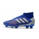 adidas Scarpa da Calcio Predator 19.1 FG - Blu Argento